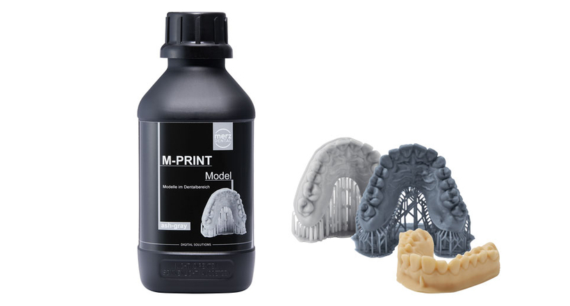 M-PRINT Model